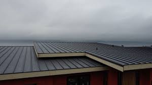 Best Rubber Roofing (EPDM, TPO)  in Clintondale, NY